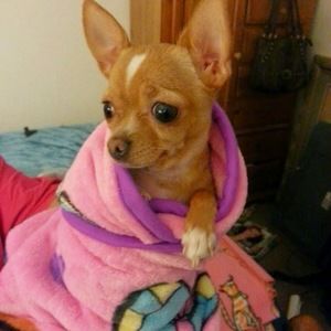 Meet your Posher, Marcos